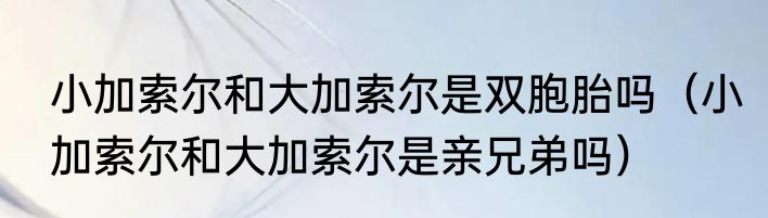 小加索尔和大加索尔是双胞胎吗（小加索尔和大加索尔是亲兄弟吗）