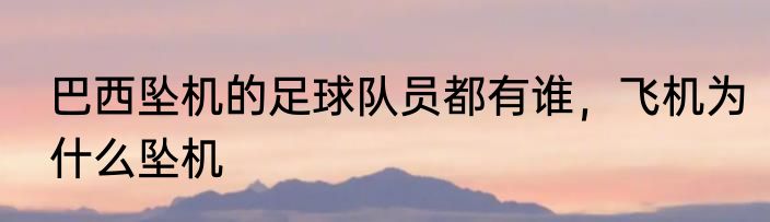 巴西坠机的足球队员都有谁，飞机为什么坠机