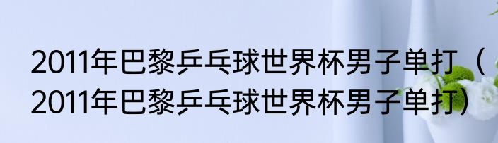 2011年巴黎乒乓球世界杯男子单打（2011年巴黎乒乓球世界杯男子单打）