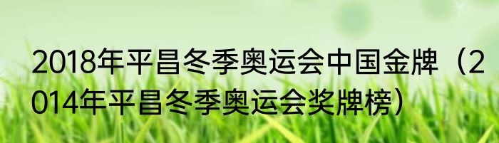 2018年平昌冬季奥运会中国金牌（2014年平昌冬季奥运会奖牌榜）