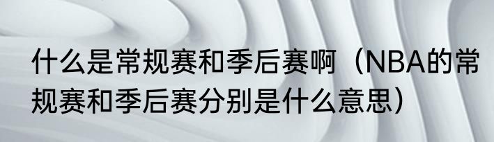 什么是常规赛和季后赛啊（NBA的常规赛和季后赛分别是什么意思）