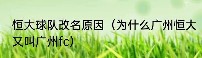 恒大球队改名原因（为什么广州恒大又叫广州fc）