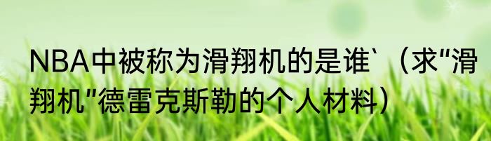 NBA中被称为滑翔机的是谁`（求“滑翔机”德雷克斯勒的个人材料）