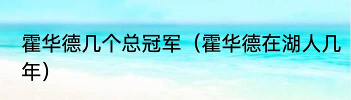 霍华德几个总冠军（霍华德在湖人几年）