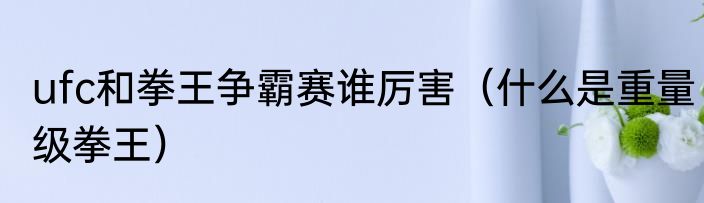 ufc和拳王争霸赛谁厉害（什么是重量级拳王）