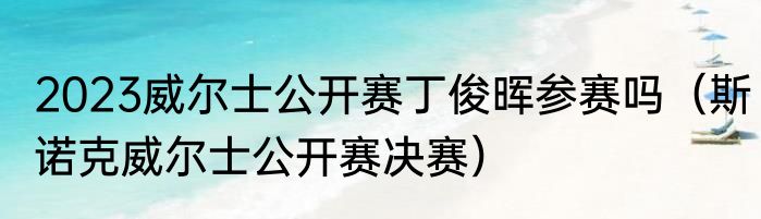 2023威尔士公开赛丁俊晖参赛吗（斯诺克威尔士公开赛决赛）