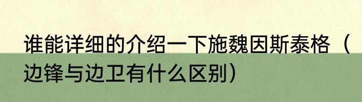 谁能详细的介绍一下施魏因斯泰格（边锋与边卫有什么区别）