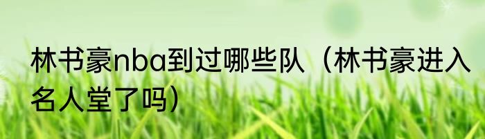 林书豪nba到过哪些队（林书豪进入名人堂了吗）