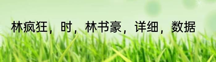 林疯狂，时，林书豪，详细，数据