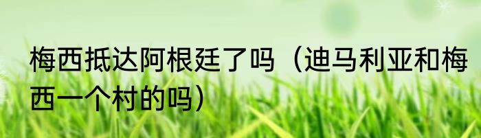 梅西抵达阿根廷了吗（迪马利亚和梅西一个村的吗）