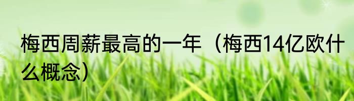 梅西周薪最高的一年（梅西14亿欧什么概念）