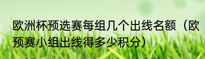 欧洲杯预选赛每组几个出线名额（欧预赛小组出线得多少积分）