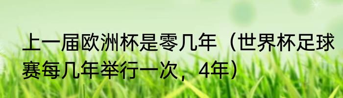 上一届欧洲杯是零几年（世界杯足球赛每几年举行一次，4年）