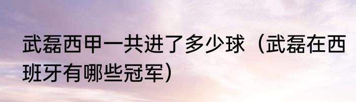 武磊西甲一共进了多少球（武磊在西班牙有哪些冠军）