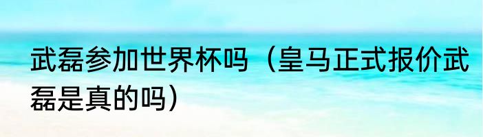 武磊参加世界杯吗（皇马正式报价武磊是真的吗）