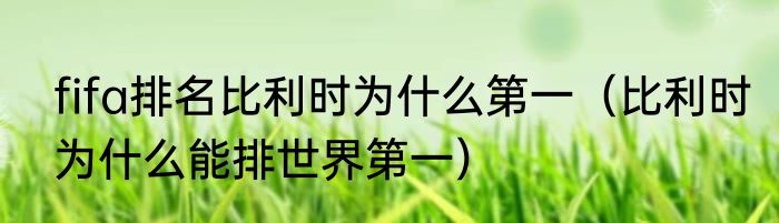 fifa排名比利时为什么第一（比利时为什么能排世界第一）