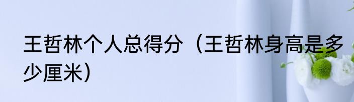 王哲林个人总得分（王哲林身高是多少厘米）