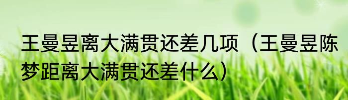 王曼昱离大满贯还差几项（王曼昱陈梦距离大满贯还差什么）