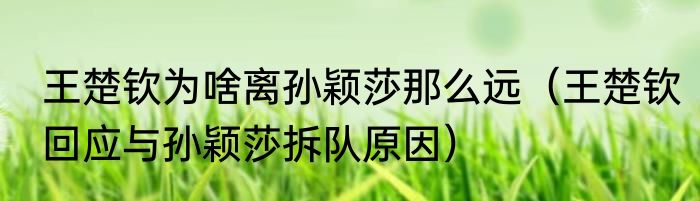 王楚钦为啥离孙颖莎那么远（王楚钦回应与孙颖莎拆队原因）