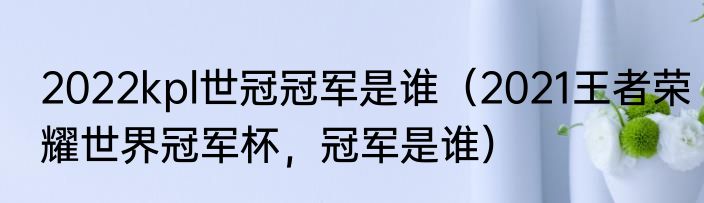 2022kpl世冠冠军是谁（2021王者荣耀世界冠军杯，冠军是谁）