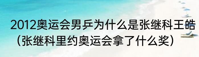 2012奥运会男乒为什么是张继科王皓（张继科里约奥运会拿了什么奖）