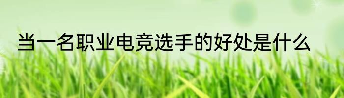 当一名职业电竞选手的好处是什么