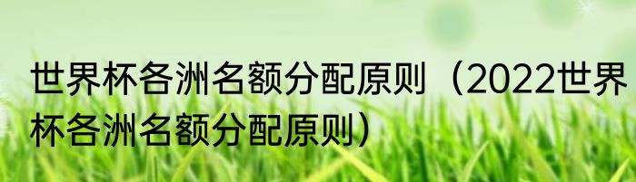 世界杯各洲名额分配原则（2022世界杯各洲名额分配原则）