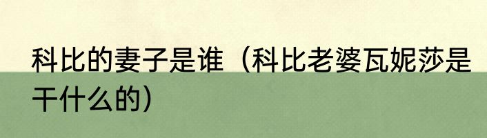 科比的妻子是谁（科比老婆瓦妮莎是干什么的）