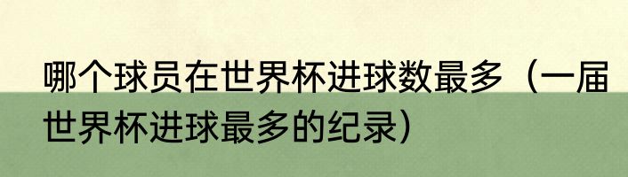 哪个球员在世界杯进球数最多（一届世界杯进球最多的纪录）