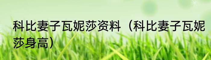 科比妻子瓦妮莎资料（科比妻子瓦妮莎身高）