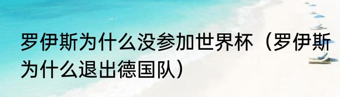 罗伊斯为什么没参加世界杯（罗伊斯为什么退出德国队）
