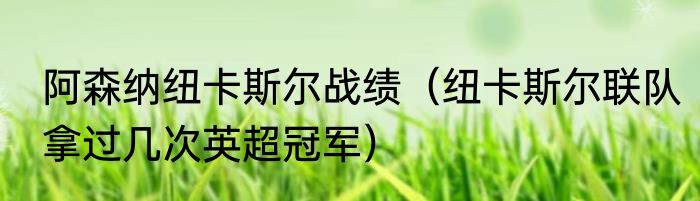 阿森纳纽卡斯尔战绩（纽卡斯尔联队拿过几次英超冠军）