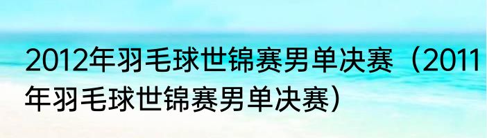 2012年羽毛球世锦赛男单决赛（2011年羽毛球世锦赛男单决赛）