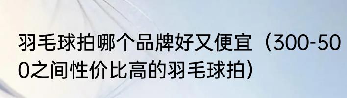 羽毛球拍哪个品牌好又便宜（300-500之间性价比高的羽毛球拍）
