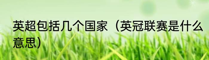 英超包括几个国家（英冠联赛是什么意思）