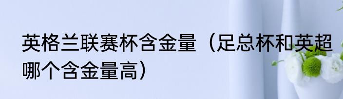 英格兰联赛杯含金量（足总杯和英超哪个含金量高）