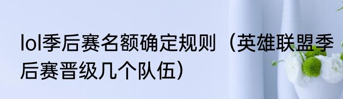 lol季后赛名额确定规则（英雄联盟季后赛晋级几个队伍）