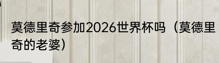 莫德里奇参加2026世界杯吗（莫德里奇的老婆）