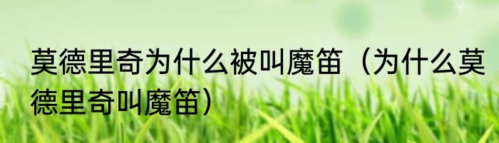 莫德里奇为什么被叫魔笛（为什么莫德里奇叫魔笛）