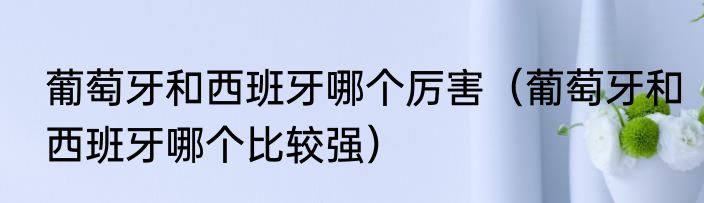 葡萄牙和西班牙哪个厉害（葡萄牙和西班牙哪个比较强）
