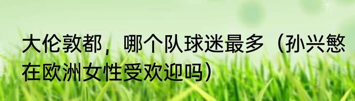 大伦敦都，哪个队球迷最多（孙兴慜在欧洲女性受欢迎吗）