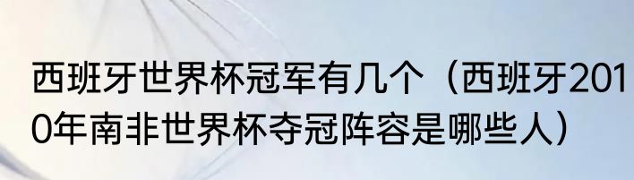 西班牙世界杯冠军有几个（西班牙2010年南非世界杯夺冠阵容是哪些人）