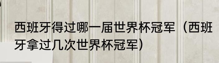 西班牙得过哪一届世界杯冠军（西班牙拿过几次世界杯冠军）