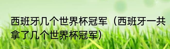 西班牙几个世界杯冠军（西班牙一共拿了几个世界杯冠军）