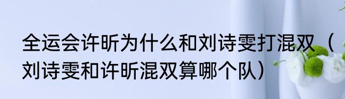 全运会许昕为什么和刘诗雯打混双（刘诗雯和许昕混双算哪个队）