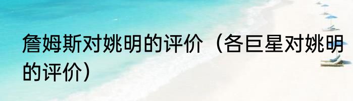 詹姆斯对姚明的评价（各巨星对姚明的评价）