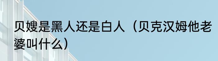 贝嫂是黑人还是白人（贝克汉姆他老婆叫什么）