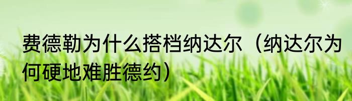 费德勒为什么搭档纳达尔（纳达尔为何硬地难胜德约）