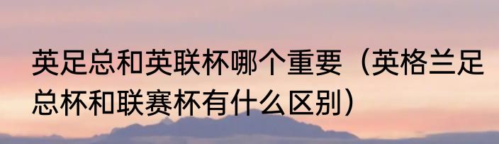 英足总和英联杯哪个重要（英格兰足总杯和联赛杯有什么区别）