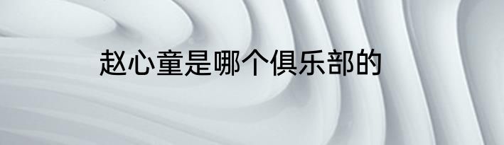 赵心童是哪个俱乐部的